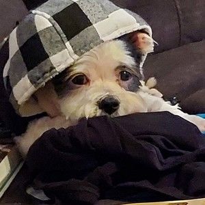 Meet your Posher, Kathy